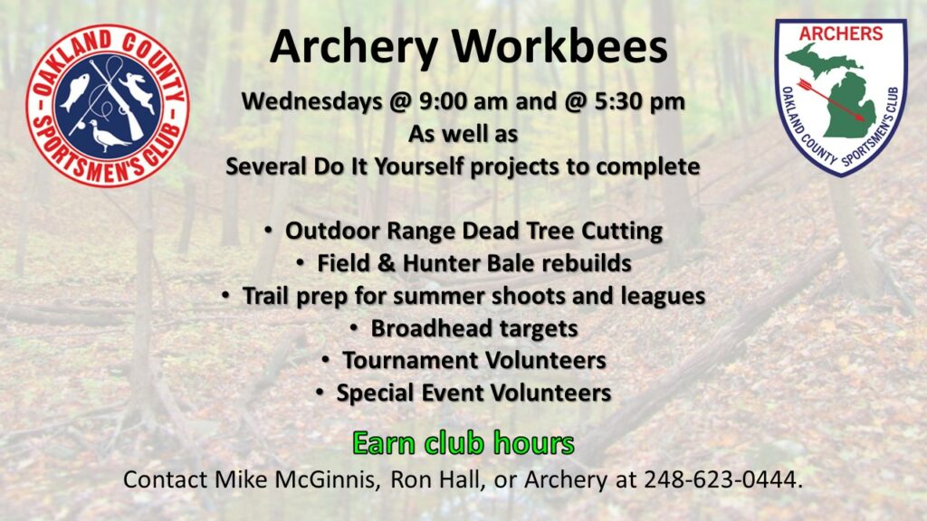 Archery Workbees