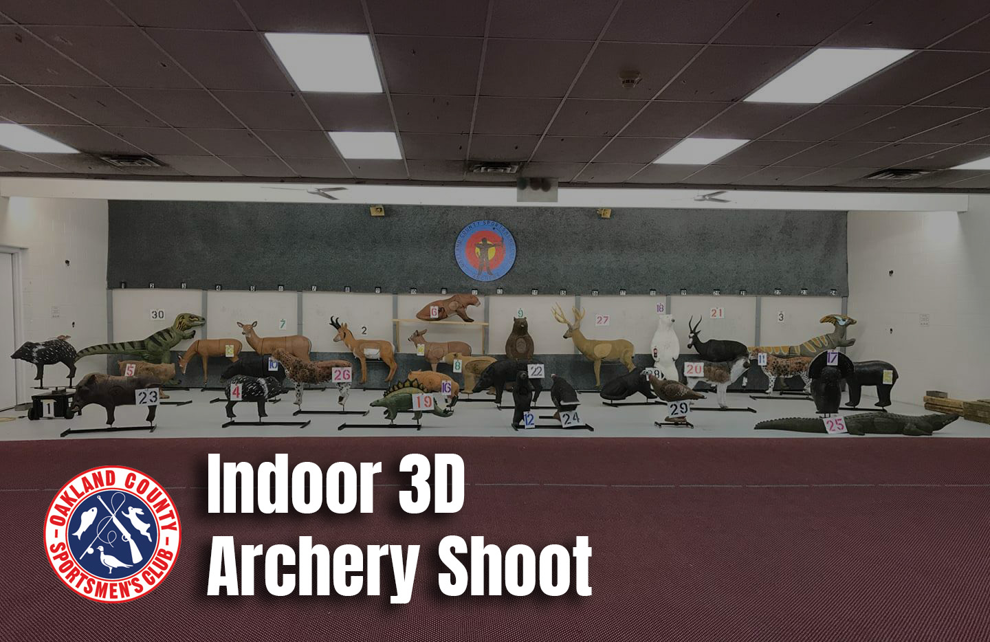 indoor 3d archery shoot